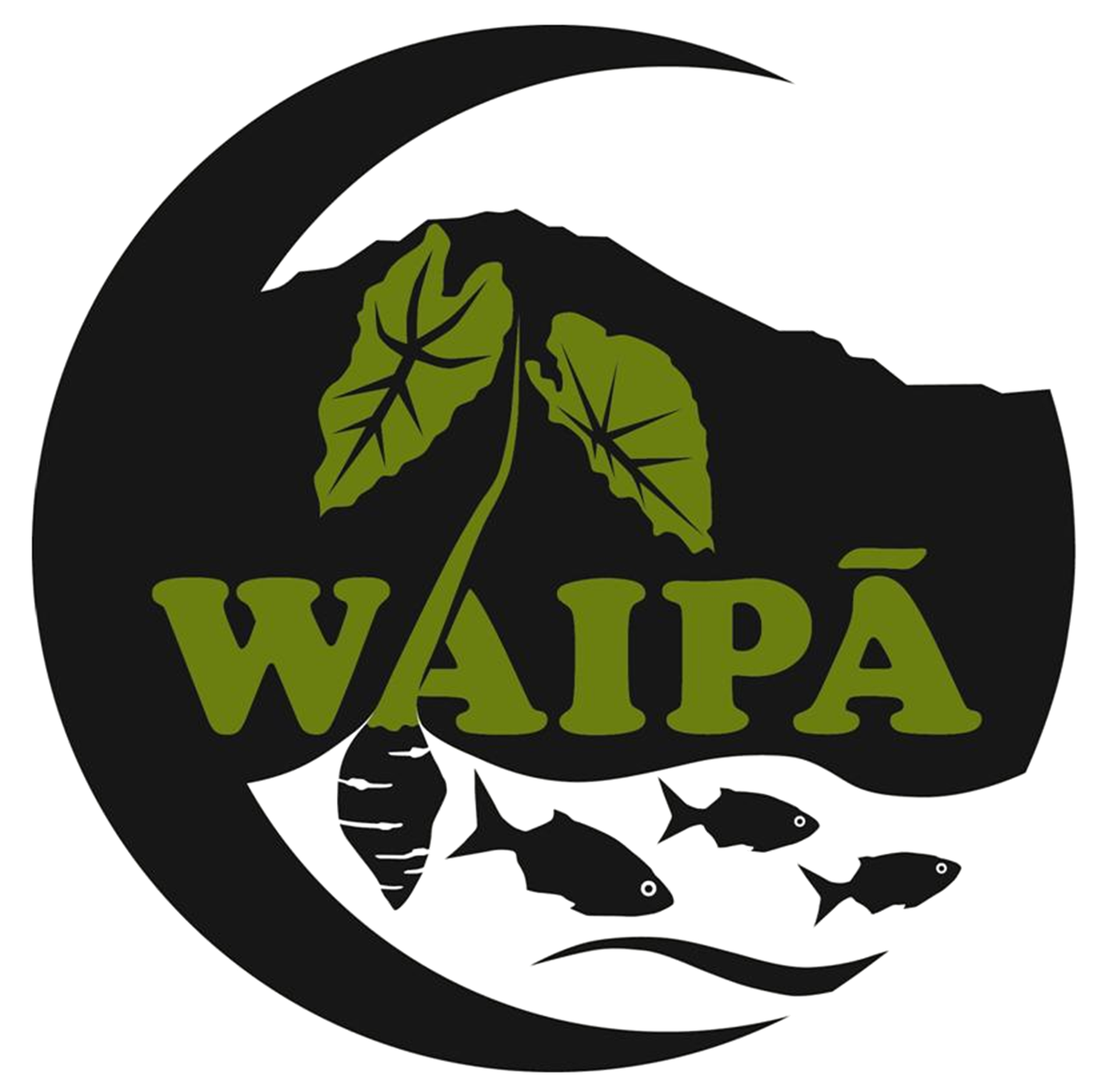 Waipā Foundation